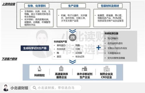 醫(yī)藥新興行業(yè) 信息技術(shù)咨詢服務(wù)的百億藍(lán)海市場(chǎng)與十倍增長(zhǎng)機(jī)會(huì)